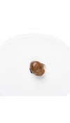 Confezione Marrons Glacés con "Marrone Val di Susa IGP" - Agrimontana
