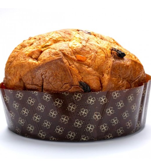 Panettone Artigianale Classico 1kg - Pasticceria Calciano