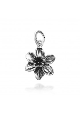 Charm Narciso - Giovanni Raspini