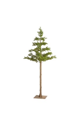 Pino West Lungo 162 cm - Linea Essential Winter - EDG
