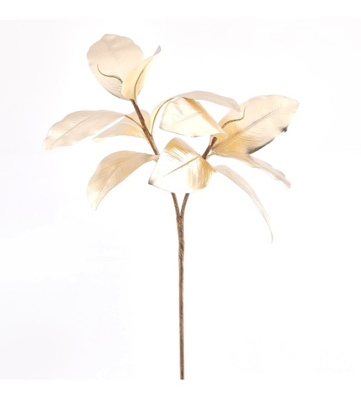 Ramo di Magnolia Gold - EDG
