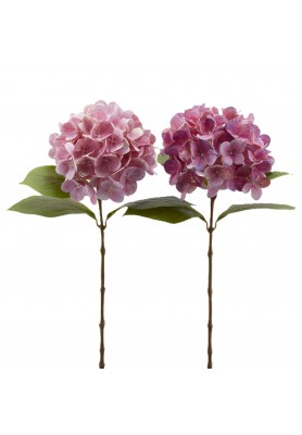 Ramo di Ortensia Nobile New Rosa 2Ass. H 60 cm - EDG 