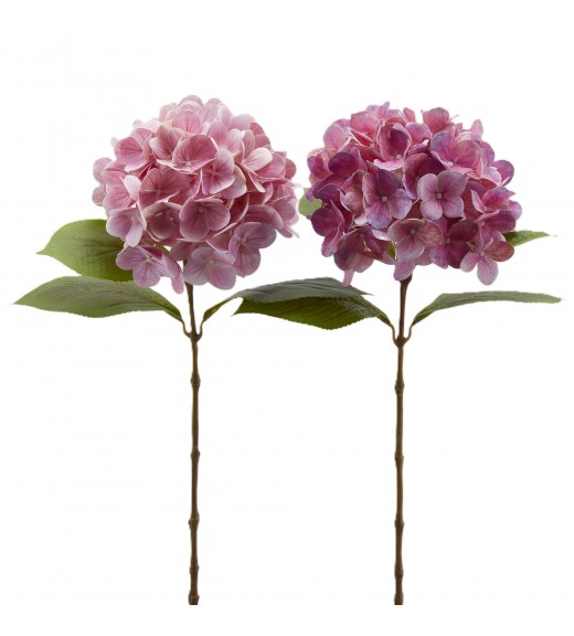Ramo di Ortensia Nobile New Rosa 2Ass. H 60 cm - EDG 