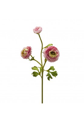 Ramo di Ranuncolo Dea x3 Rosa H 60 cm - EDG
