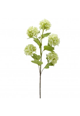 Ramo di Viburno x5 con Foglie H 80 cm Verde - EDG