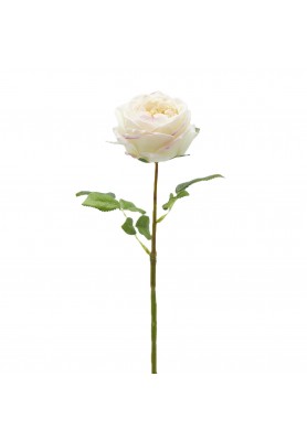 Ramo di Rosa Elide Avorio H 45 cm - EDG