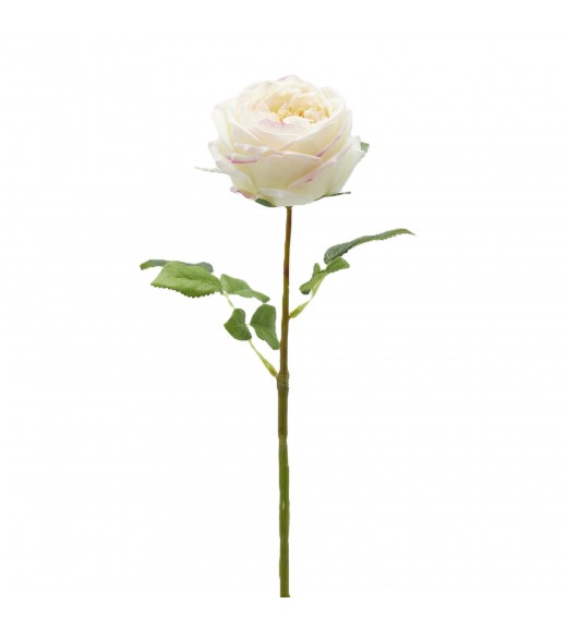 Ramo di Rosa Elide Avorio H 45 cm - EDG