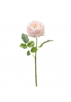 Ramo di Rosa Elide Rosa H 45 cm - EDG