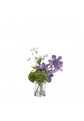 Composizione Orchidea Vanda con Foglie in Vaso H36- EDG