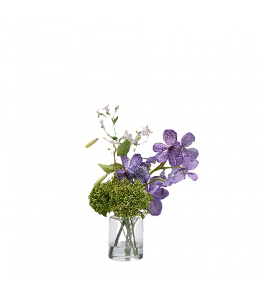 Composizione Orchidea Vanda con Foglie in Vaso H36- EDG