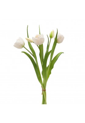 Mazzo di Tulipani x4 con Bocciolo Bianco H 40 cm - EDG