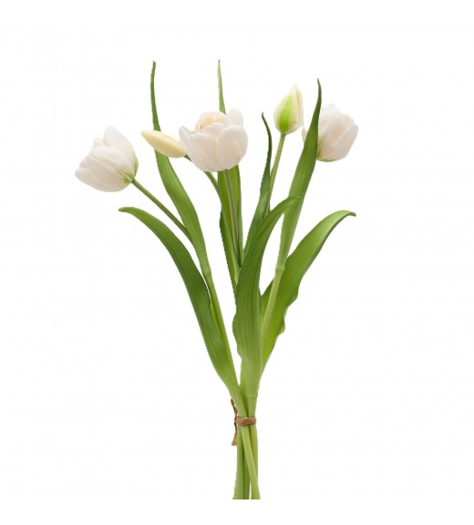 Mazzo di Tulipani x4 con Bocciolo Bianco H 40 cm - EDG