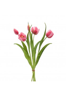 Mazzo di Tulipani x4 con Bocciolo Rosa intenso H 40 cm - EDG
