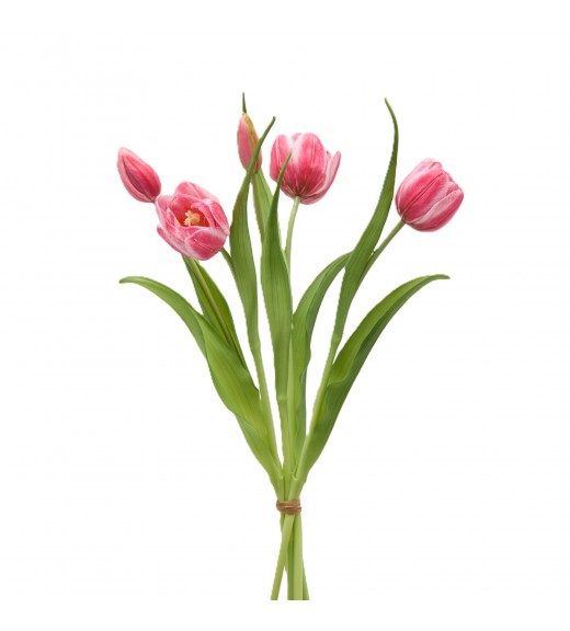 Mazzo di Tulipani x4 con Bocciolo Rosa intenso H 40 cm - EDG