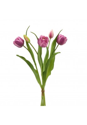 Mazzo di Tulipani x4 con Bocciolo Viola H 40 cm - EDG