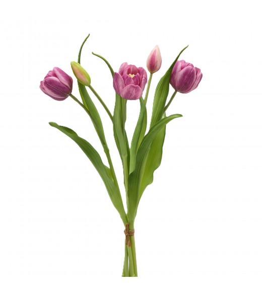 Mazzo di Tulipani x4 con Bocciolo Viola H 40 cm - EDG