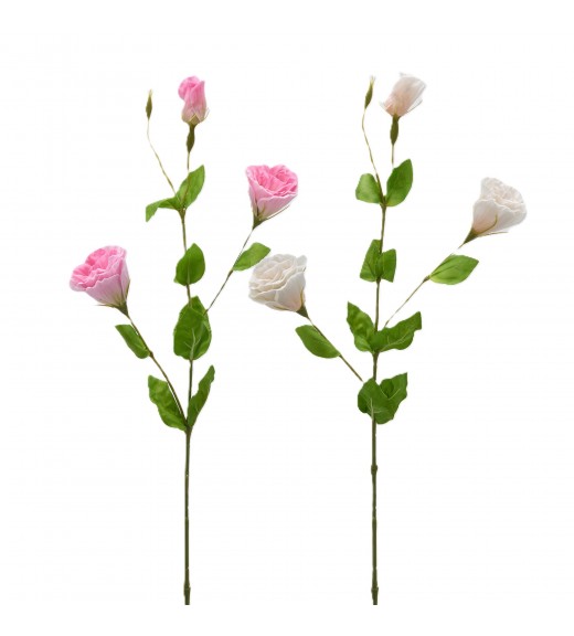 Ramo di Lisianthus 2Ass. H 71 cm - EDG 
