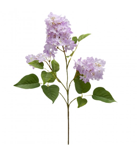 Ramo di Lillà Lilla H 78 cm - EDG