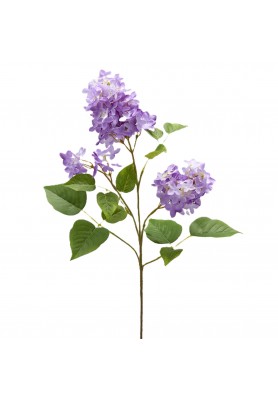 Ramo di Lillà Viola H 78 cm - EDG