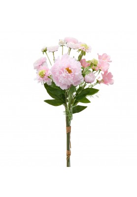 Cespuglio di Peonia Rosa tenue e Fiori Misti H60- EDG