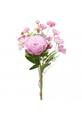 Cespuglio di Peonia Rosa e Fiori Misti H60 - EDG