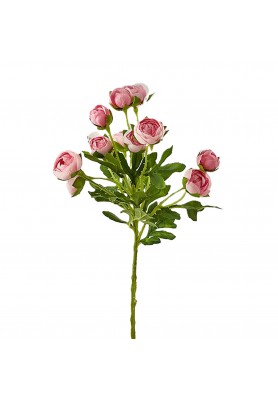 Ramo di Ranuncolo Chic Rosa H 55 cm - EDG
