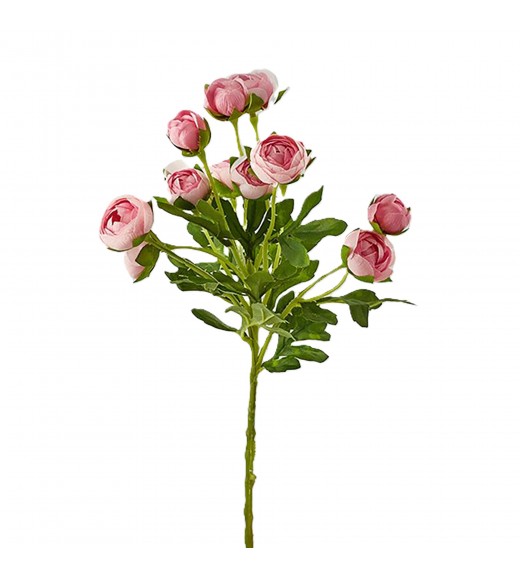 Ramo di Ranuncolo Chic Rosa H 55 cm - EDG