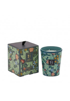 Candela Heritage Citrus Verbena H16 - EDG