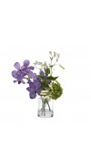 Composizione Orchidea Vanda con Foglie in Vaso H36- EDG