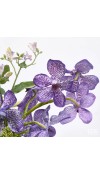 Composizione Orchidea Vanda con Foglie in Vaso H36- EDG
