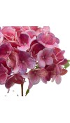 Ramo di Ortensia Nobile New Rosa 2Ass. H 60 cm - EDG 