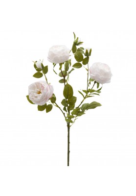 Ramo di Rosa Sonia Rosa H65 - EDG
