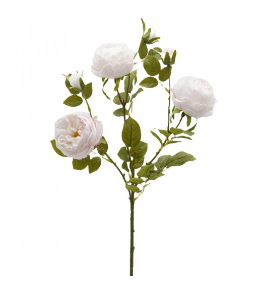 Ramo di Rosa Sonia Rosa H65 - EDG Ramo di Rosa Sonia Rosa H65 - EDG