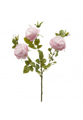 Ramo di Rosa Sonia Rosa H65 - EDG