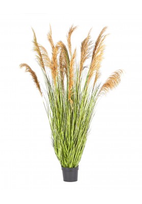 Pianta Artificiale Festuca Donax - EDG