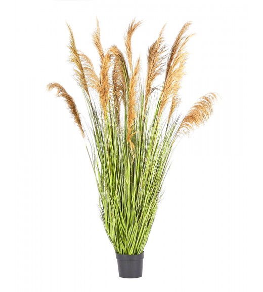 Pianta Artificiale Festuca Donax - EDG