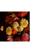 Fiore di Dalia con Foglie H61 - EDG 