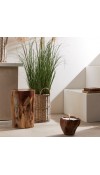 Pianta Artificiale Festuca Donax - EDG