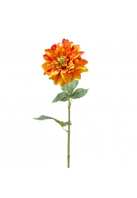 Fiore di Dalia con Foglie H61 - EDG 