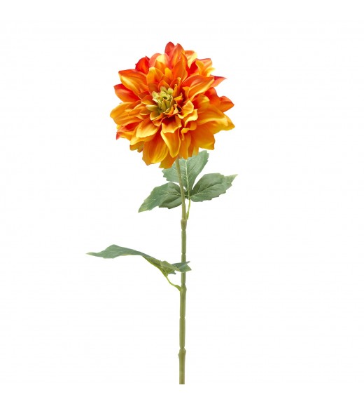 Fiore di Dalia con Foglie H61 - EDG 