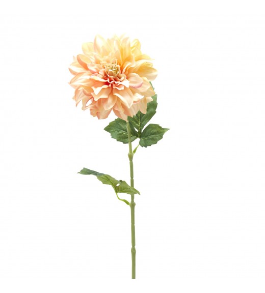 Fiore di Dalia con Foglie H61 - EDG 