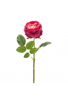 Fiore di Rosa Elide Porpora con foglie H45 - EDG