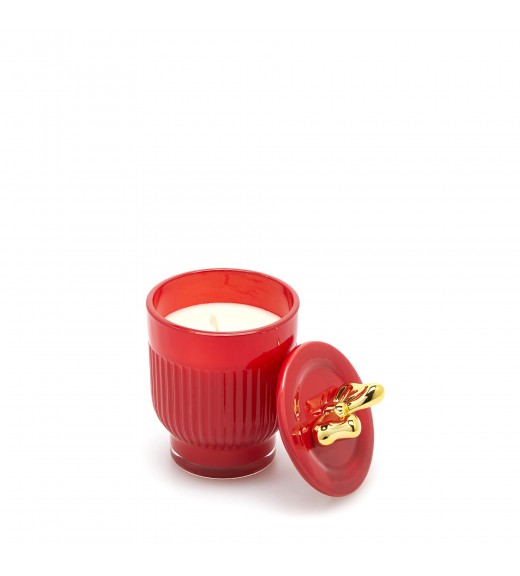 Candela Fiocco H 11 - Fragranza Berry Fruit - EDG