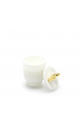 Candela Fiocco H 11 - Fragranza Frangipani - EDG