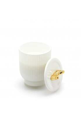 Candela Fiocco H 15 - Fragranza Frangipani - EDG