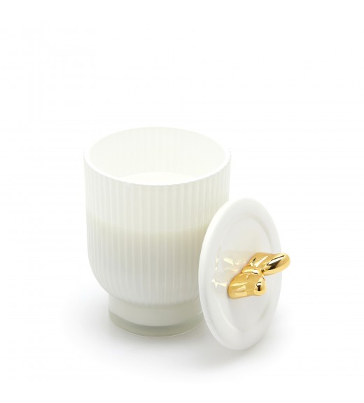 Candela Fiocco H 15 - Fragranza Frangipani - EDG