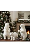 Orso polare H37 - EDG Orso polare H37 - EDG