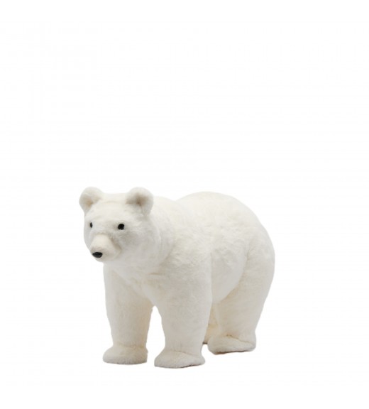 Orso polare H37 - EDG Orso polare H37 - EDG