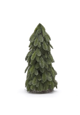 Topiary Pino Nobilis H80 - EDG