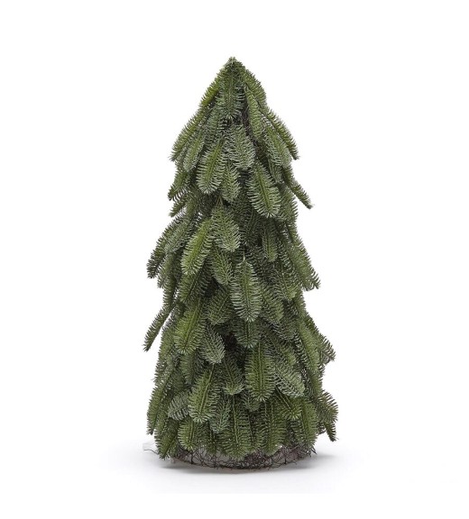 Topiary Pino Nobilis H80 - EDG